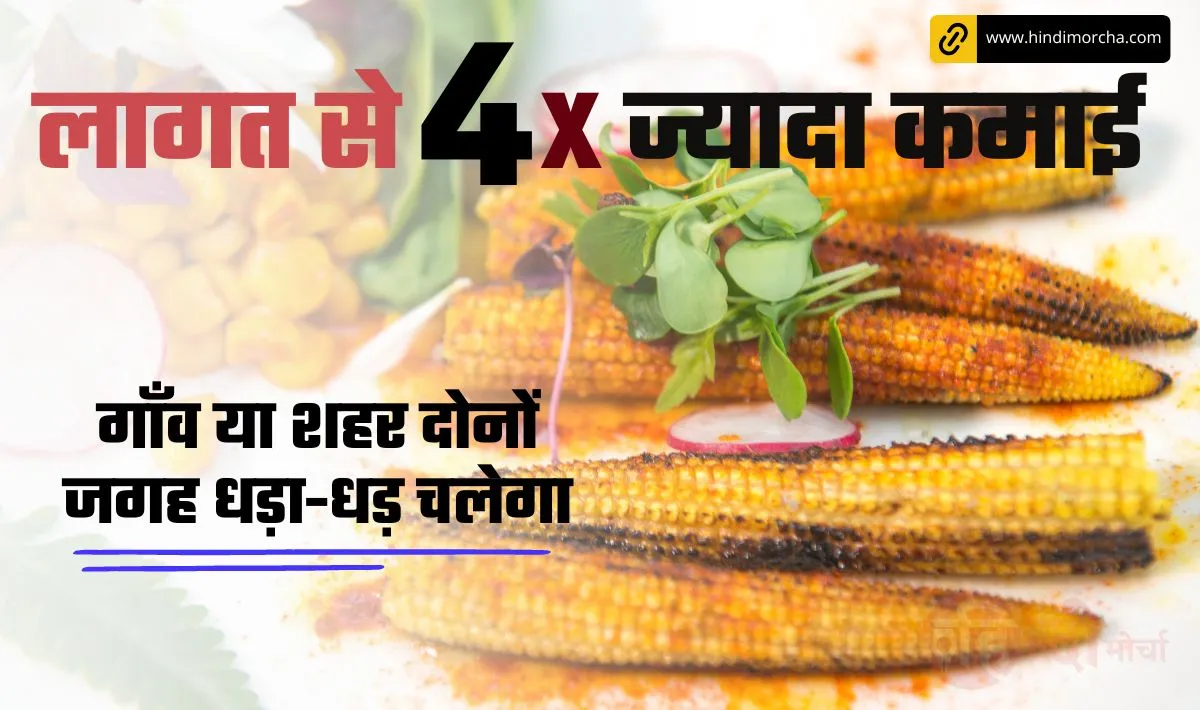 Baby Corn Farming Business Idea: जितना लागत उससे 4 गुना ज्यादा कमाई, गाँव या शहर हर जगह धड़ा-धड़ चलेगा यह सुपरहिट बिज़नस