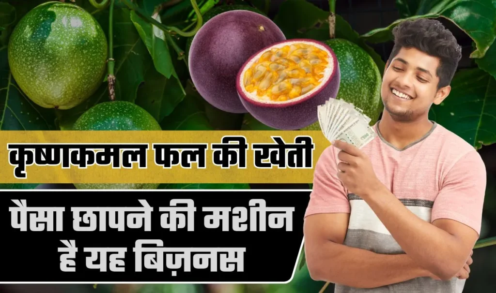 Passion Fruit Farming Idea— कर लिए इस विदेशी हरे फल की खेती तो लगातार 10 साल तक होती रहेगी कमाई, पैसा छापने की मशीन से कम नही यह बिज़नस