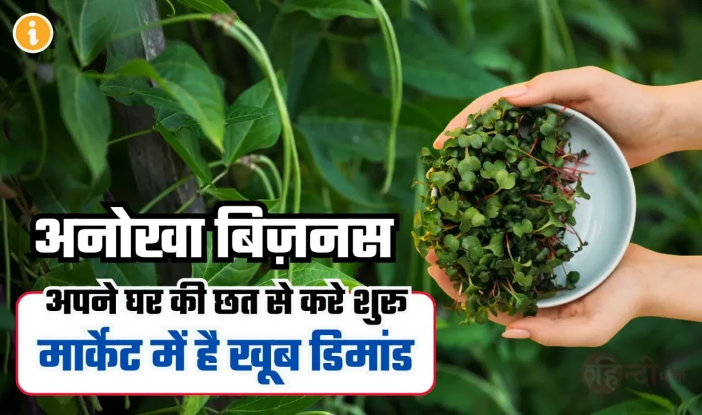 Microgreens Farming Business Idea— खेती में रुझान आपकी बदल देगी किस्मत, घर बैठे माइक्रोग्रीन्स फार्मिंग से होगी लाखो में कमाई