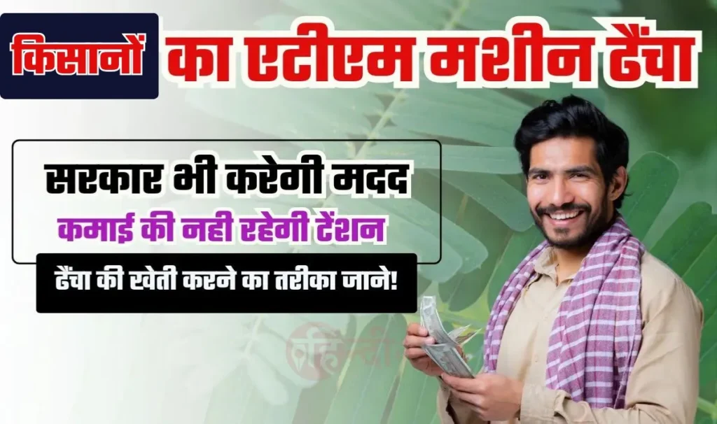 Unique Business Idea— किसानों के लिए एटीएम मशीन है ढैंचा की खेती, इसके खेती में सरकार भी करेगी मदद, कमाई की नही रहेगी कोई टेंशन