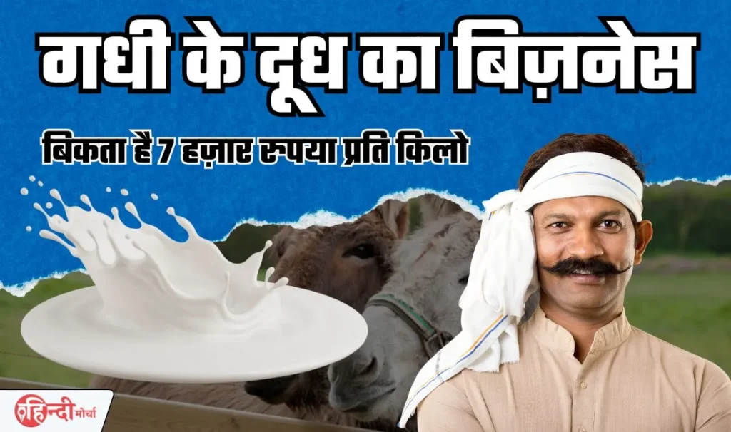 Donkey Milk Business Idea: गधी का दूध बिकता है सबसे ज्यादा महंगा, इस राज्य के लोग करते हैं बिजनेस, आप भी फटाफट शुरू करें!